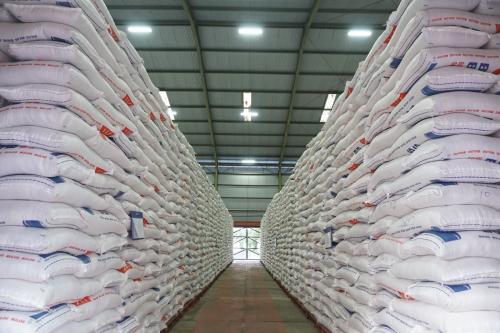 215 Ribu Jamaah Haji RI akan Disuplai Beras Bulog