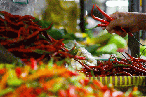 Kementan Pastikan Stok Cabai Surplus di Masa Ramadan dan Lebaran