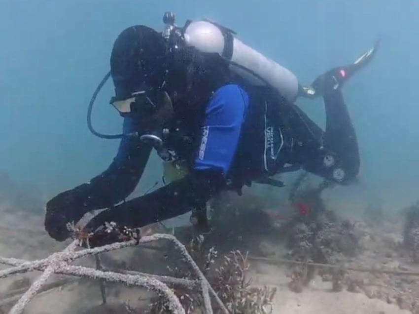 Komitmen Terapkan ESG, PLN EPI Raih Dua Penghargaan PRIA 2026